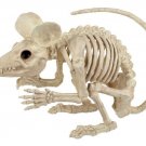 Seasons Skeleton Rat Large 21.5 inches