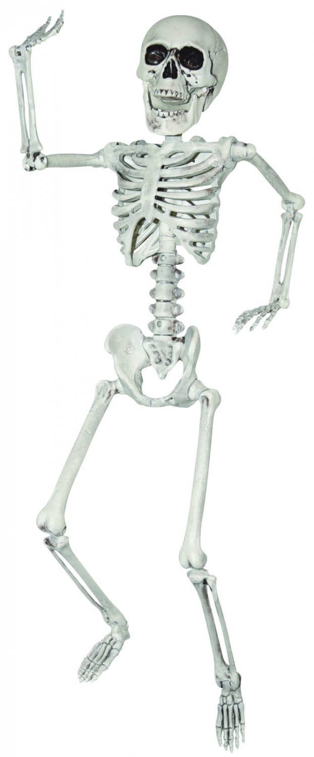 Sunstar 24 inches Skeleton
