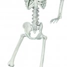 Sunstar 24 inches Skeleton