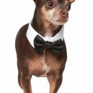 Rubies Pet Tuxedo Bowtie and Cuff Set Small-Medium