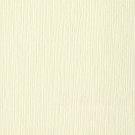 American Craft Bazzill Fourz Cardstock French Vanilla/Grass Cloth  12 x 12