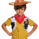 Disguise Disney Woody Accessory Kit,One Size Child