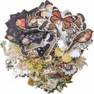 Idea-Ology Layers Die-Cuts 83/Pkg-Botanical .75"X1" To 6.5"X2"