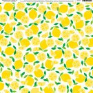 American Crafts -Sunshiny Days - Cardstock 12 x 12 Paper Pattern Fresh Squeezed