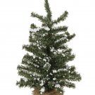 Darice Christmas Floral Snow Glittered Tree with Burlap Base 18 inches