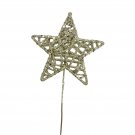 Darice Glitter Star Pick Champagne 5 x 11.25 Inches