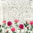 American Crafts Pink Paislee Everyday Cardstock 12 x 12 MoonstruckPaper 10
