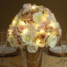 Darice David Tutera Light Strand with Silver Wire 20 Lights  6.56 feet