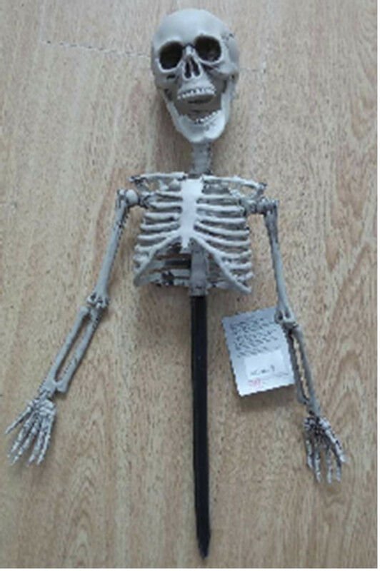 Darice Yardstake Upper Body Skeleton