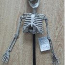 Darice Yardstake Upper Body Skeleton