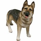 "Dogs" German Sheperd