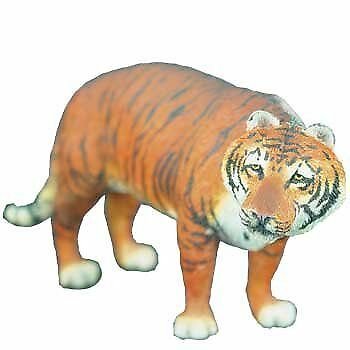 Tiger, Bengal, Yellow