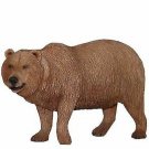 Bear, Grizzly
