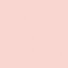 Copic Sketch Markers Blush