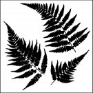 Crafter'S Workshop Template 12"X12"-Ferns