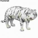 Tiger, Bengal, White