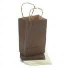 Darice Paper Bag Shimmer with Handles 3.25 X 5.25 X 8.375 Inches