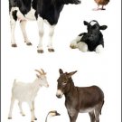 Mrs. Grossman'S Stickers-Barnyard Animals