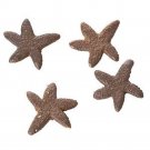 Darice Fimo Clay Animals Starfish 1 inch