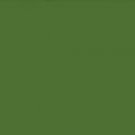 Kaiser Craft Weave Texture Cardstock 12 X 12 Inches Forest