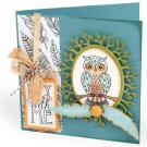 Sizzix Fox Tales Collection Clear Acrylic Stamps Owl And Feathers