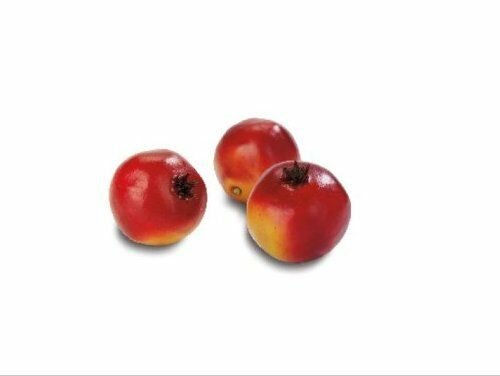 Design It Simple Decorative Fruit Pomegranate