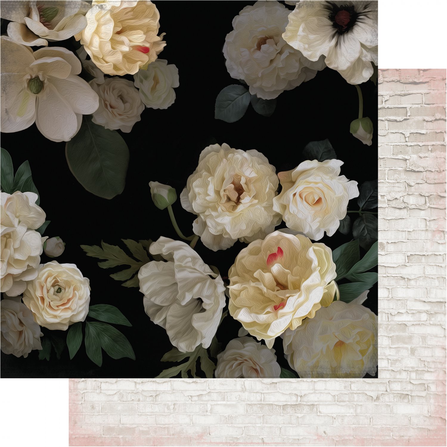 HS Magnolia Jane 1