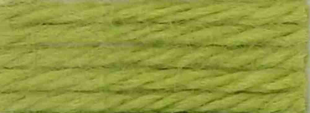 DMC DMC Tapestry & Embroidery Wool 8.8 yd - Very Light Avacodo Green