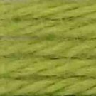 DMC DMC Tapestry & Embroidery Wool 8.8 yd - Very Light Avacodo Green