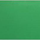 Darice Foamies Foam Sheet Christmas Green 3mm thick 12 X 18 Inches