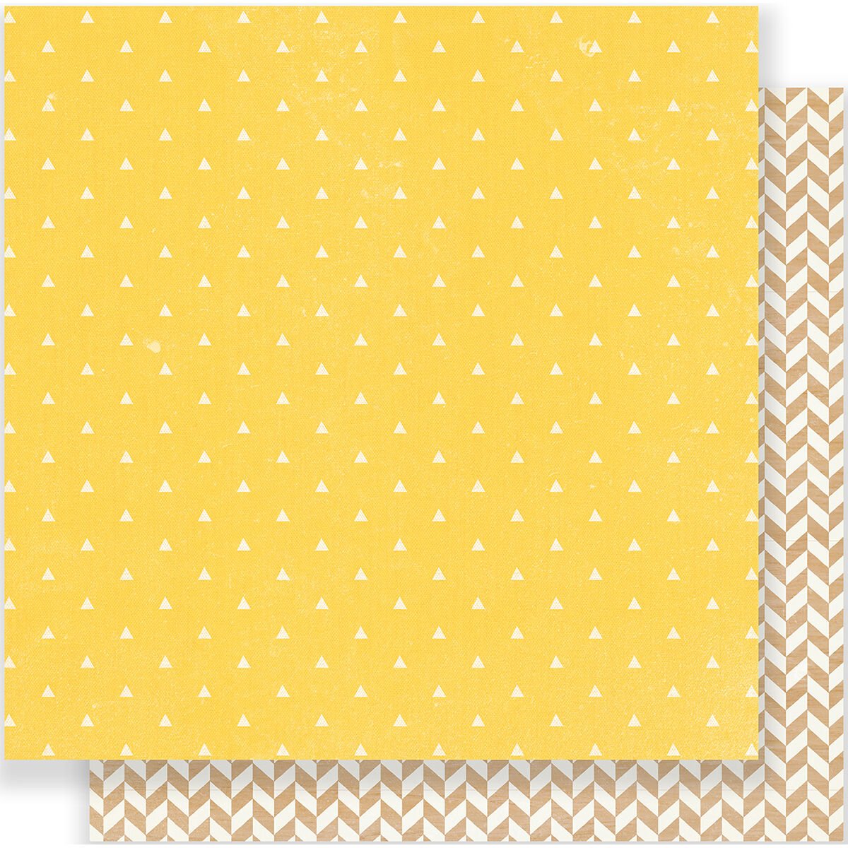 American Craft Crate Paper Cool Kid Collection 12 X 12 Double Sided Paper Champ