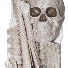 Sunstar Bag Of Bones - 12 Assorted Bones
