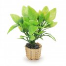Darice TM Fern In Basket2.75IN