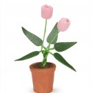 Darice Timeless Minis Pot with Pink Tulips 0.5 x 1.625 Inches
