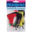 Darice Jewelry Trim Feathers Black with Assorted Bright Colors