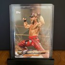 2018 WWE Topps Then Now Forever Shawn Michaels #198 Bronze Parallel