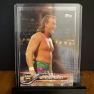 2018 WWE Topps Then Now Forever Jake The Snake Roberts #193