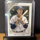 2022 Topps Gallery Ted Williams #119