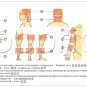Kuznetsov applicator (modern) ORIGINAL. Acupuncture body massage relaxing