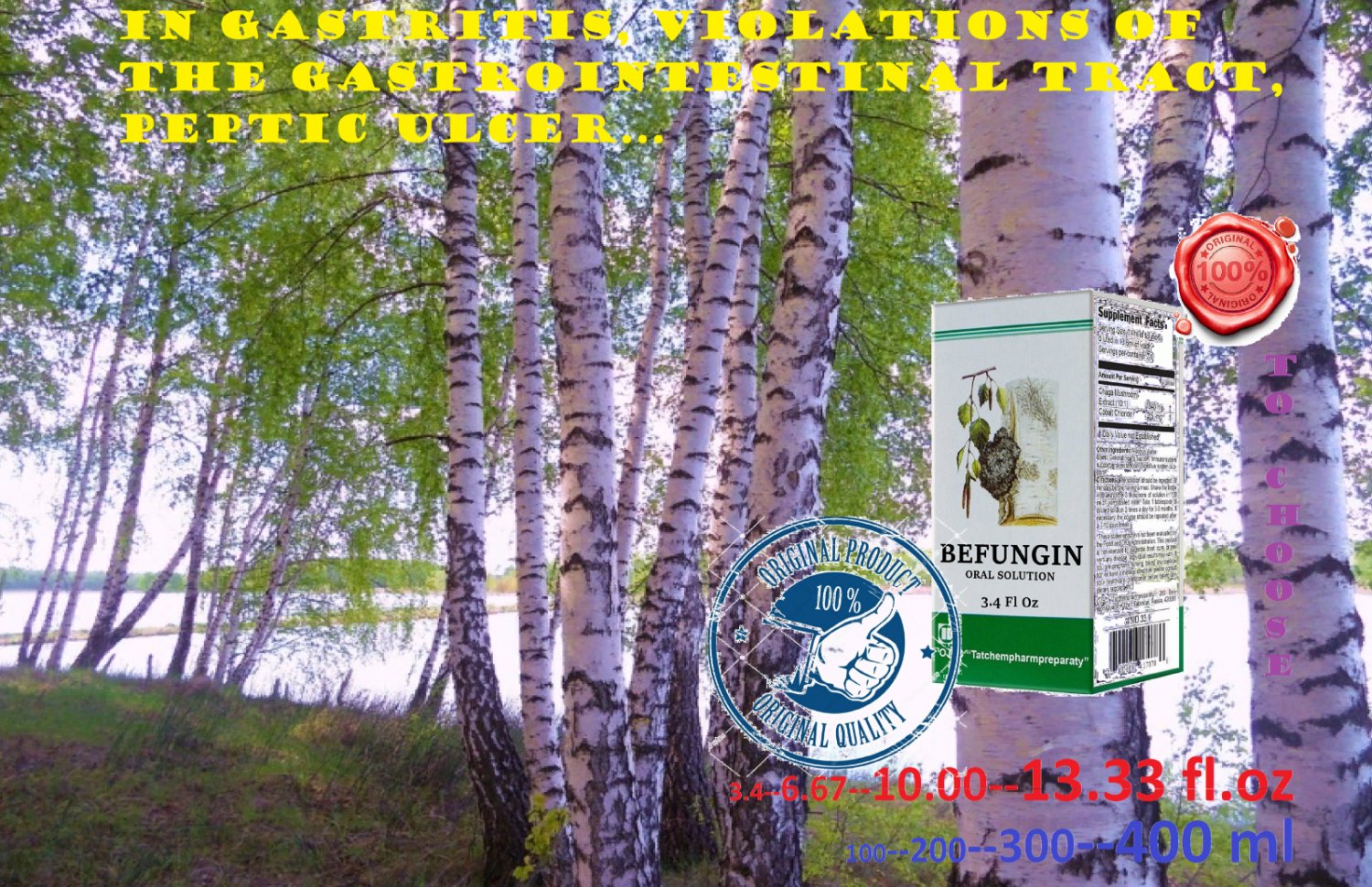 Befungin with Chaga Mushroom 100ml
