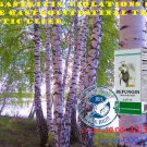 Befungin with Chaga Mushroom 100ml