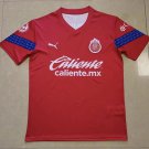 Chivas 2023 2024 Jersey training Men's Football Soccer Shirt Jersey 23 24_2