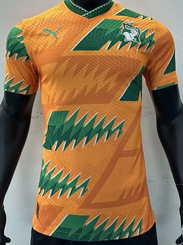 Ivory coast Jersey Special Edition 23  34 Shirt Football Soccer cote d'ivoire Jersey1