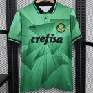 Palmeiras Jersey 23 24 Special Edition Soccer Shirt Jersey 2023 2024