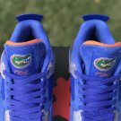 Air Jordan 4 PE “Gators”