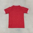 Men's Danish home football jersey 24-25
