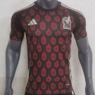 Men's Mexican home football jersey 24-25