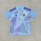 Men's Spanish goalkeeper football jersey 24-25