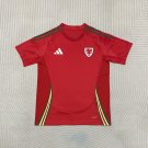 Men's Welsh home football jersey 24-25