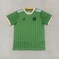 Men's Celtics special edition football jersey 24-25